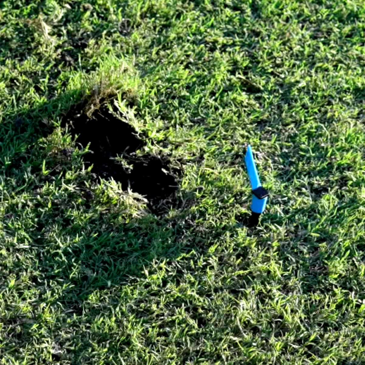 Seen from above after a bad swing, a fresh divot beside the FlagSwing, whose flag has spun out of line with the ball.